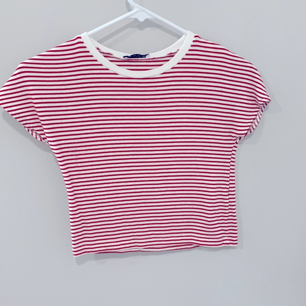 Zara crop top